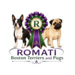 Romati Bostons